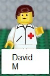 david